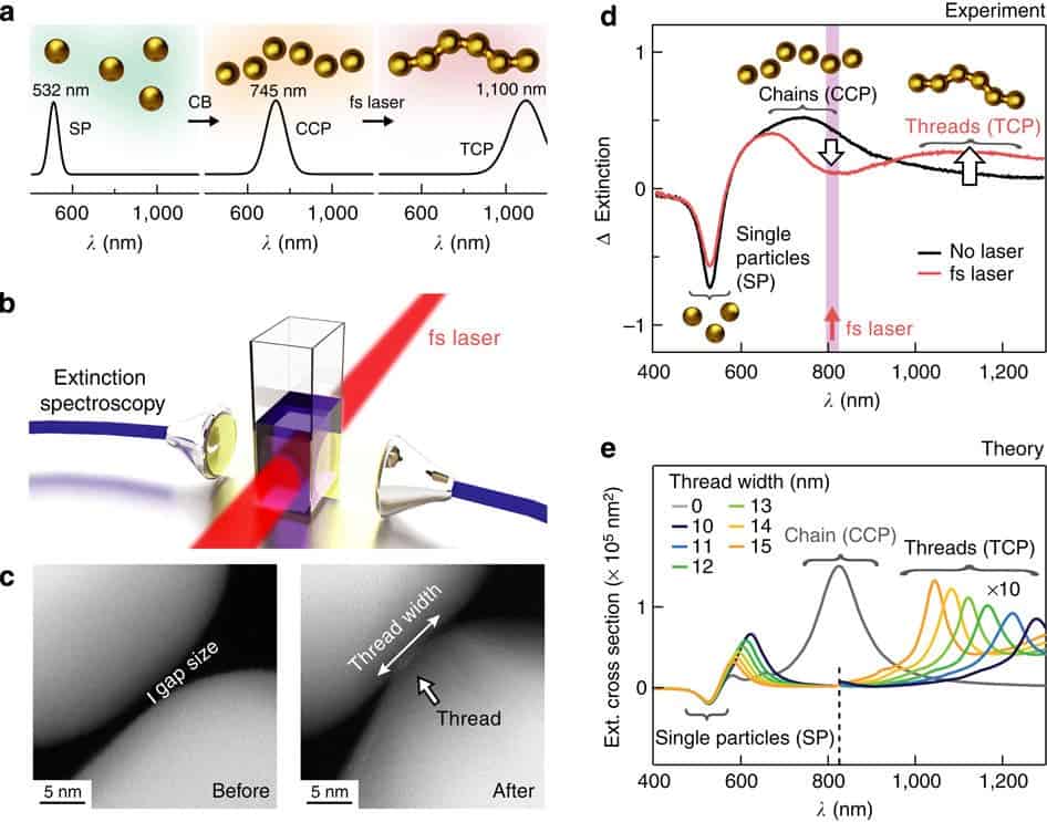 (a) Schematic process. Charge-stabilized gold NPs exhibit single particle plasmons (SP) at 532 nm resonance. Particles glued into chains by CB molecules give CCPs (745 nm resonance). Illumination with femtosecond laser pulses (schematic b) connects chains by metal thread into strings, producing TCPs (1,100 nm resonance). (c) TEM images of NP chain gaps before and after femtosecond irradiation. (d) After adding CB molecules to the NPs, spectra are different with/without femtosecond laser irradiation. Single NP response is subtracted from spectra. As the threads develop, a spectral dip around the laser wavelength and a peak at the rising TCP emerge. (e) Numerical simulations of resonant six-NP-long chains display TCP mode and indicate the range of nanothread widths contributing to the signal in d.