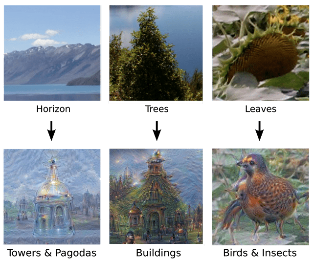 image dream
