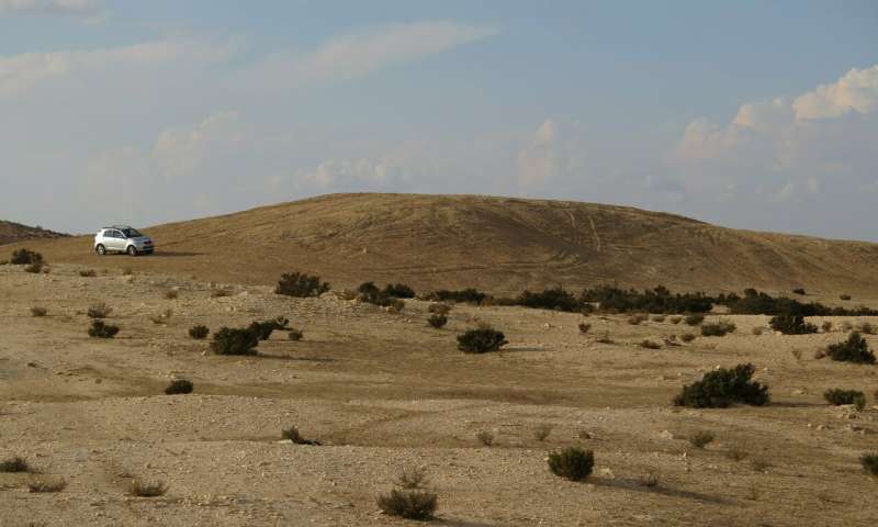 Elusa trash mound.